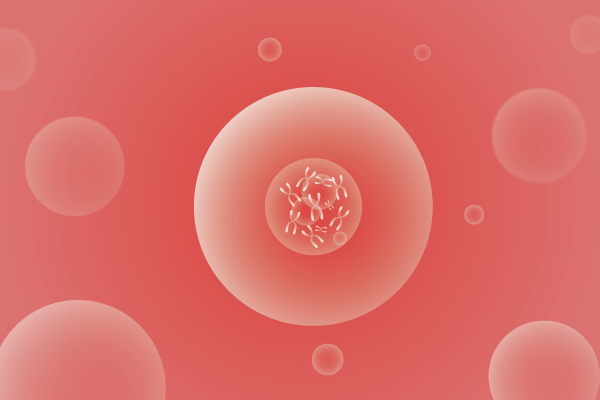 CNV,拷贝数变化遗传病、基因病、罕见病基因解码，基因检测，基因筛查与分子诊断