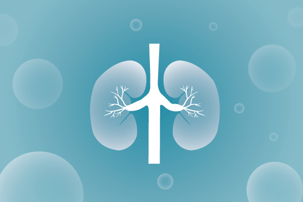 泌尿系统，肾脏，膀胱，尿病，肾不好遗传病、基因病、罕见病的基因解码，基因检测，基因筛查与分子诊断