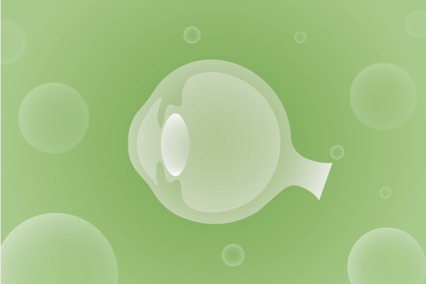 眼科，视光中心，眼科诊所，眼睛相关遗传病、基因病、罕见病的基因解码，基因检测，基因筛查与分子诊断