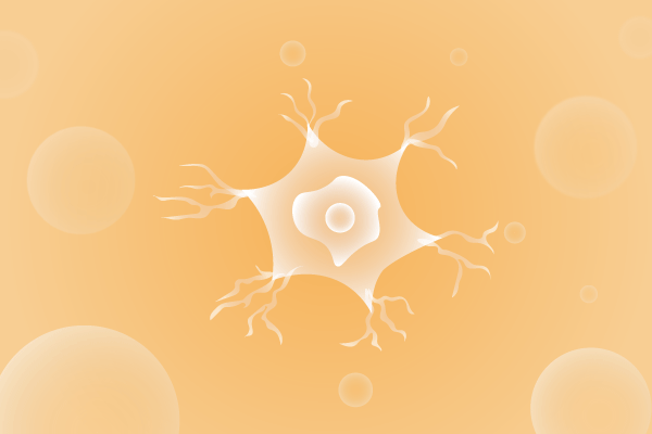 神经科肌肉系统及运动神经系统遗传病、基因病、罕见病的基因解码，基因检测，基因筛查与分子诊断