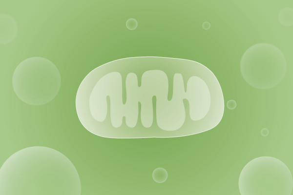 线粒体病、线粒体疾病遗传病、基因病、罕见病基因解码，基因检测，基因筛查与分子诊断