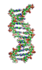 阿替洛尔药物<a href=http://www.dgjiehun.com/tk/jiema/cexujishu/2021/31933.html>基因检测</a>