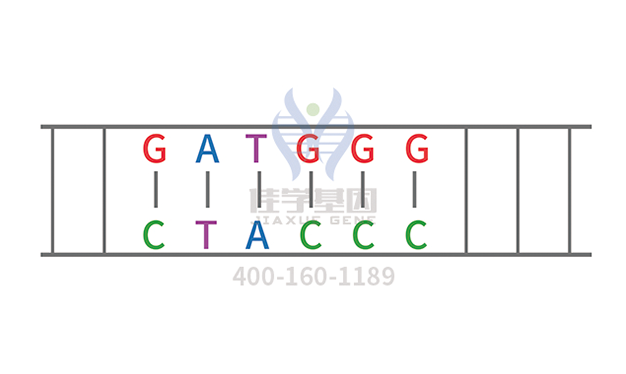阿洛那药物<a href=http://www.dgjiehun.com/tk/jiema/cexujishu/2021/31933.html>基因检测</a>