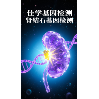 【SG亚洲胜游基因检测】胱<font color='red'>氨酸</font>结石及基因检测的作用
