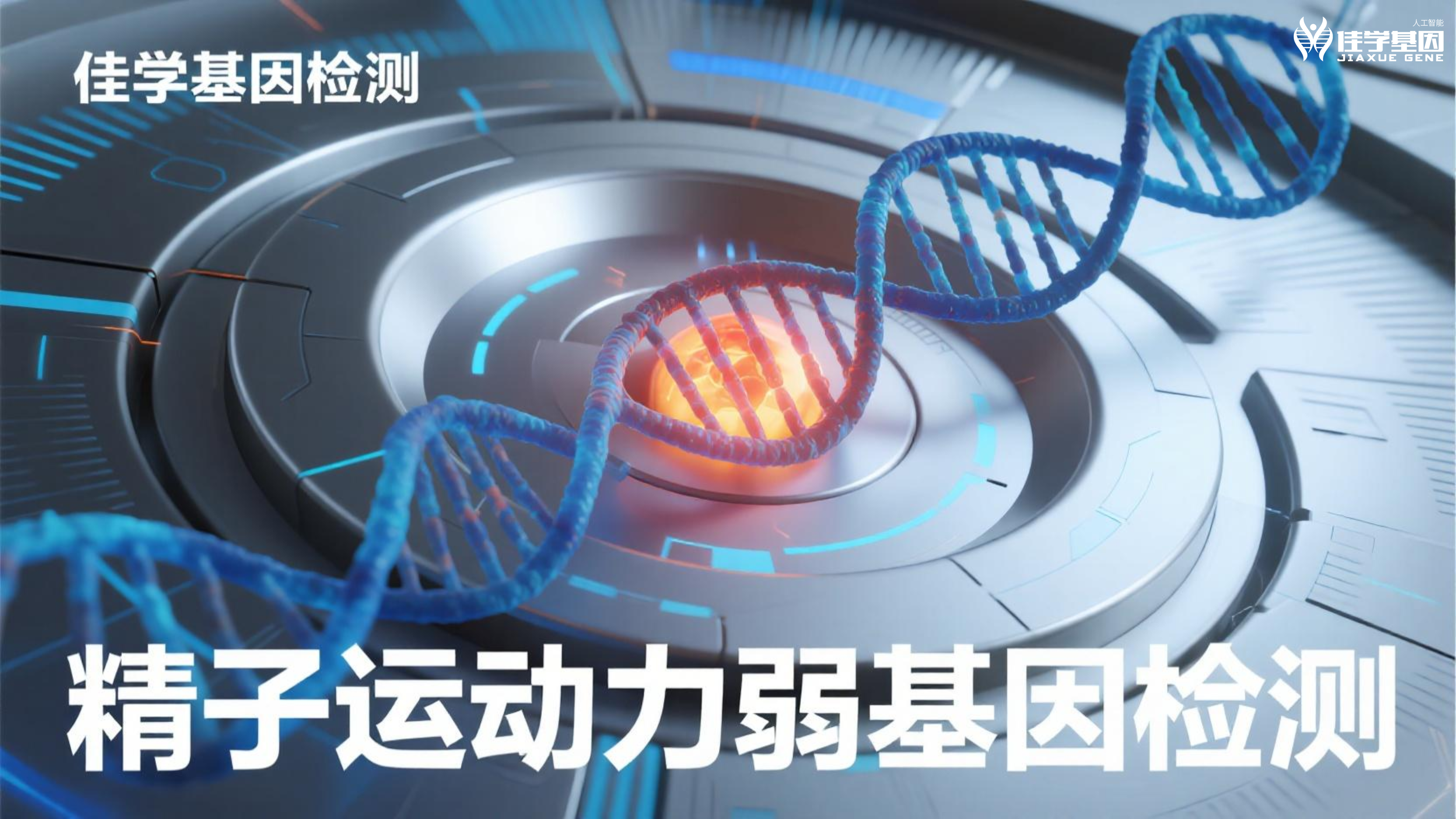 【SG亚洲胜游基因检测】男性<font color='red'>脱发</font>和生育力：基因告诉了我们什么？