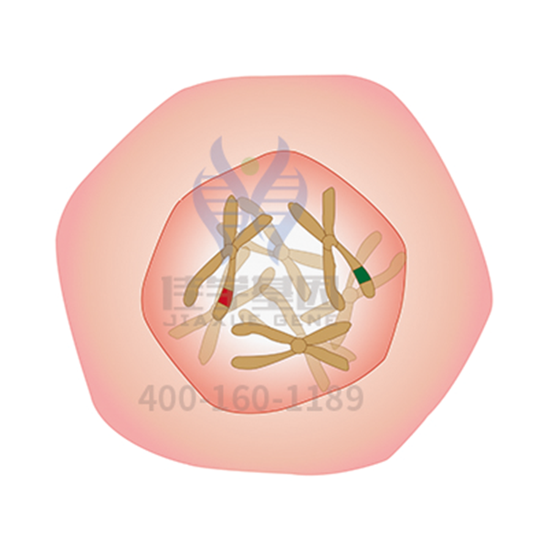 【SG亚洲胜游基因解码-基因检测】一种类肿瘤的肺部疾病——<font color='red'><font color='red'>特发</font><font color='red'>性肺</font><font color='red'>纤维</font>化</font>